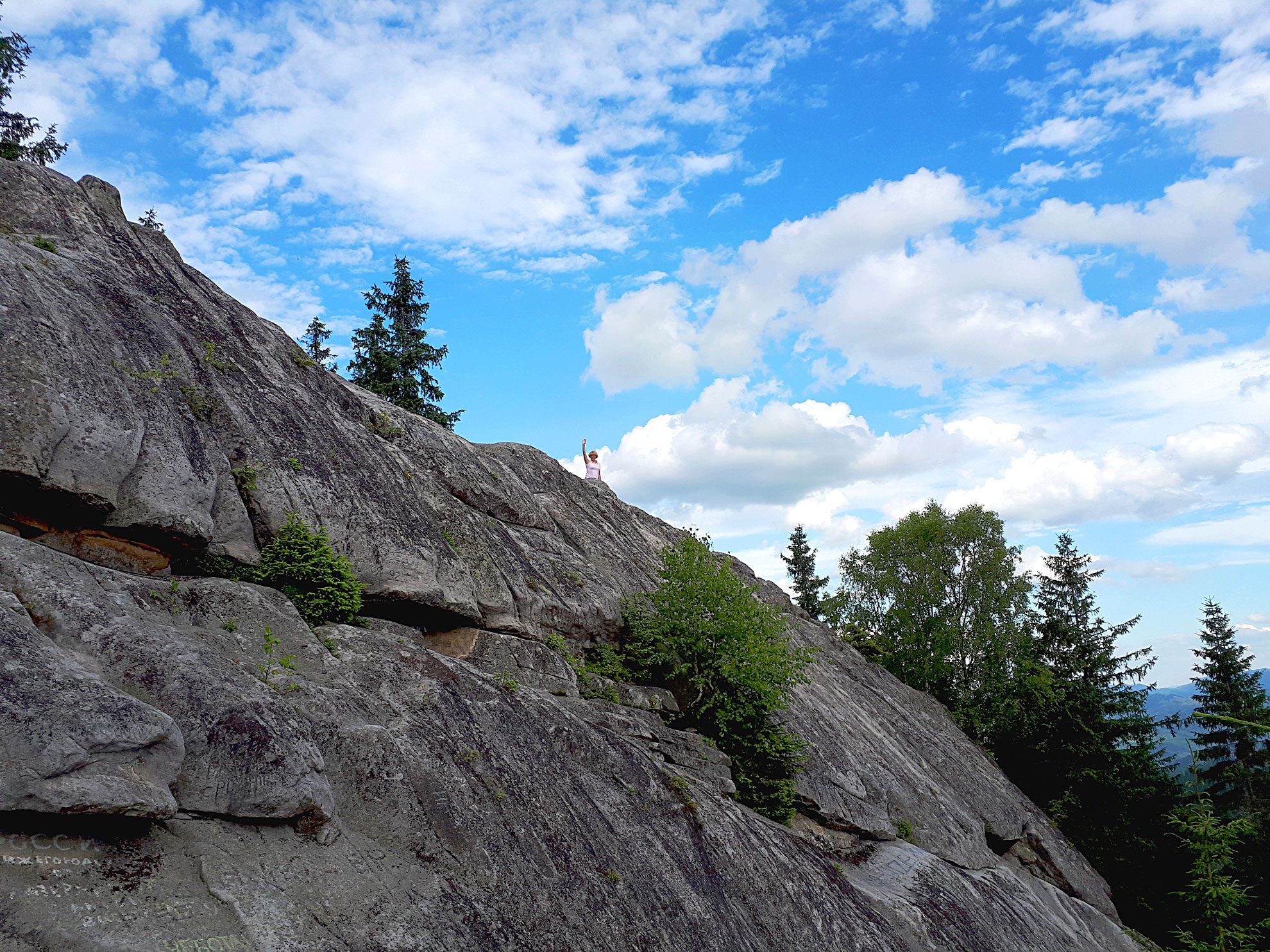 Татьяна Петрашева