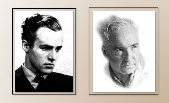 Защита по Райху